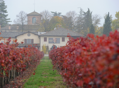 Chiarli Foto Azienda Vigna e cantina
