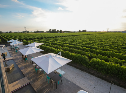 VentiVenti Sera Luglio 43