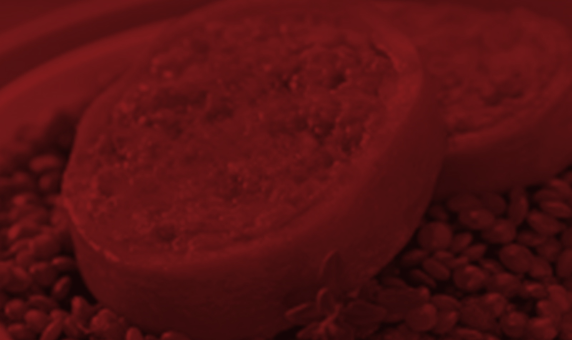 Group 352x Group 352x