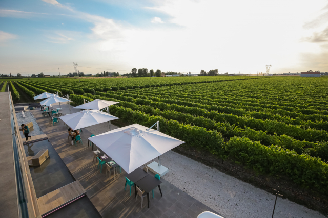 VentiVenti Sera Luglio 43